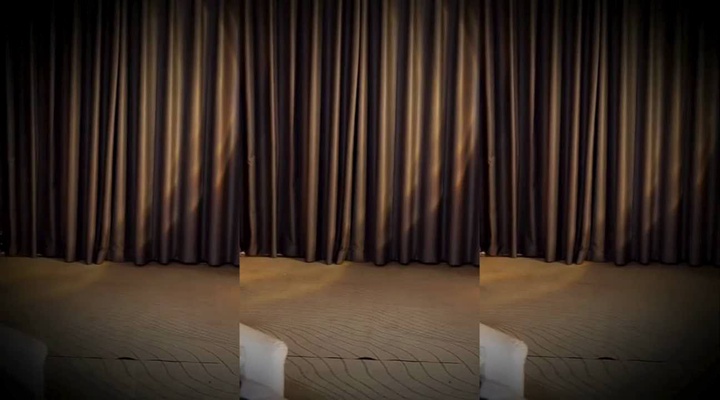 张爱玲  粉丝祭 前摇.mp4