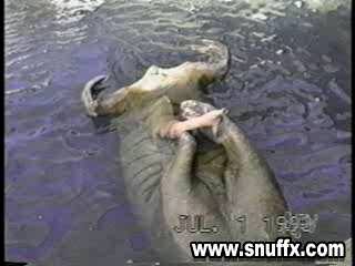 VioCum Beastility ColleCtion Bi... Shared by 1f4m**4omk | PikPak
