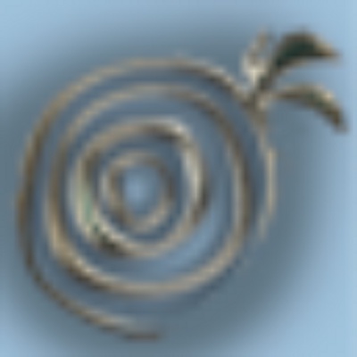 Security Onion Logo.png